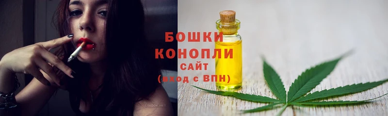 как найти наркотики  Салават  Бошки марихуана индика 